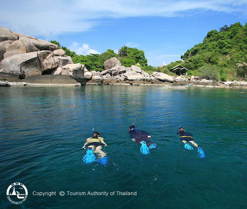 doc 5- koh tao