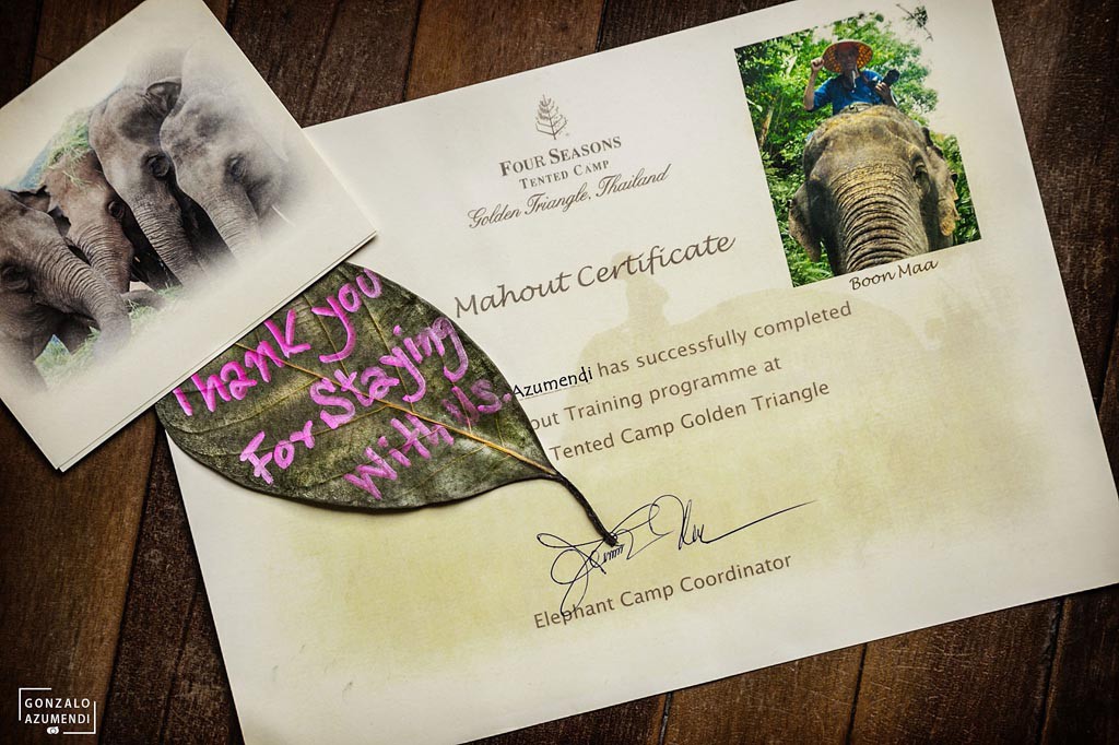 El Blog de Tailandia-Diploma Mahout