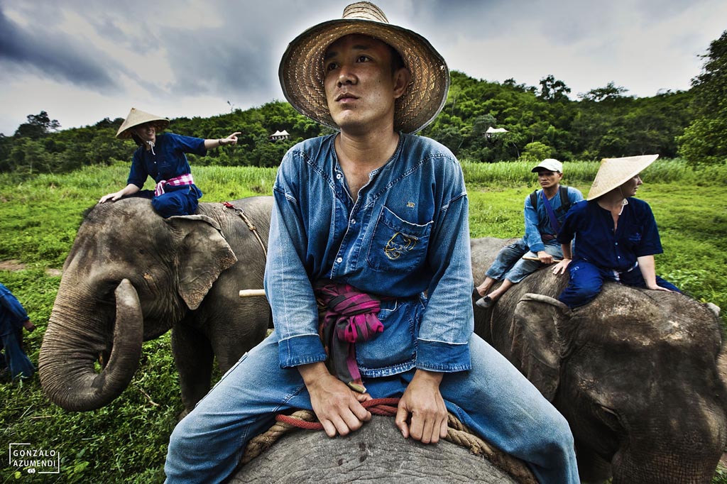El Blog de Tailandia- Foto Elefantes portada - Turismo de Tailandia