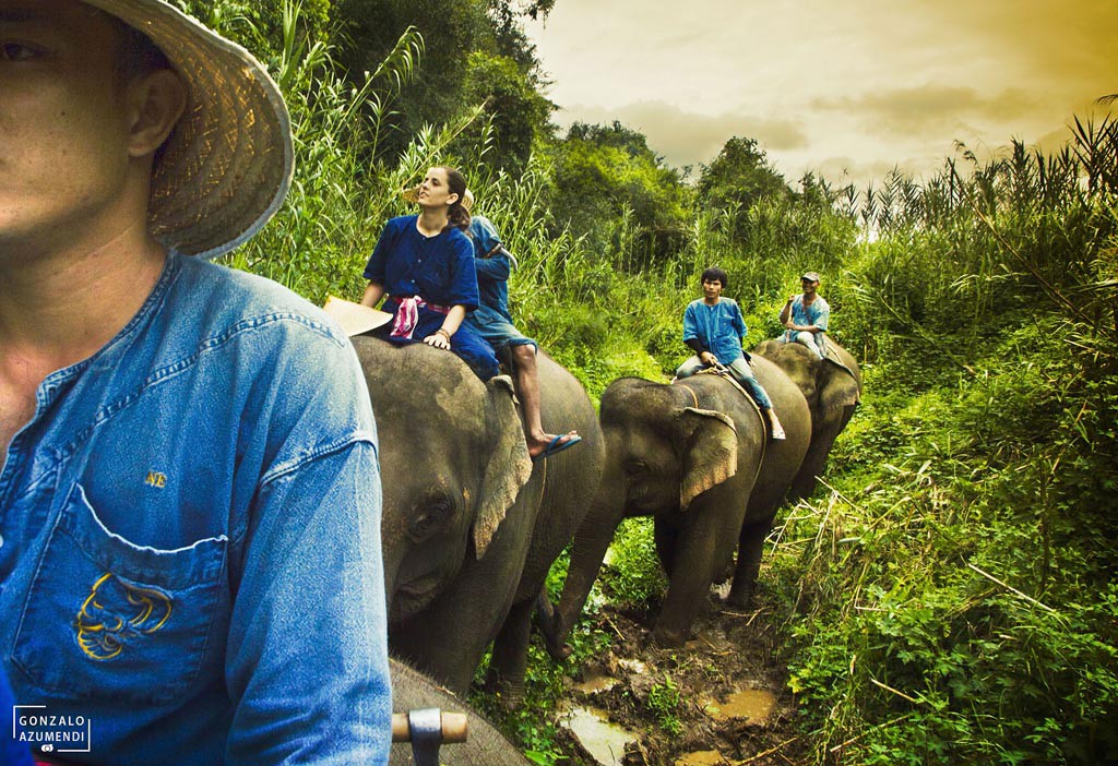 El Blog de Tailandia- Paseo en elefante