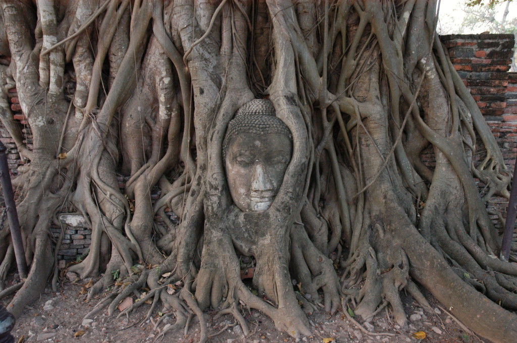 Foto: Turismo de Tailandia/ Wat Mahathat