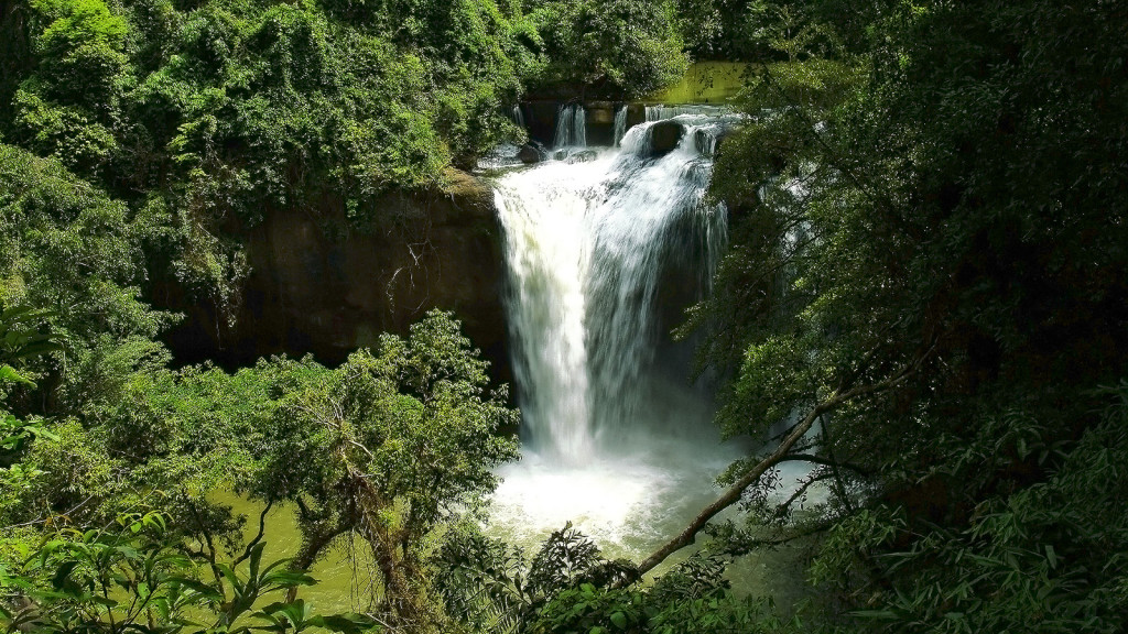 Parque de Kao Yai.Foto: Turismo de Tailandia