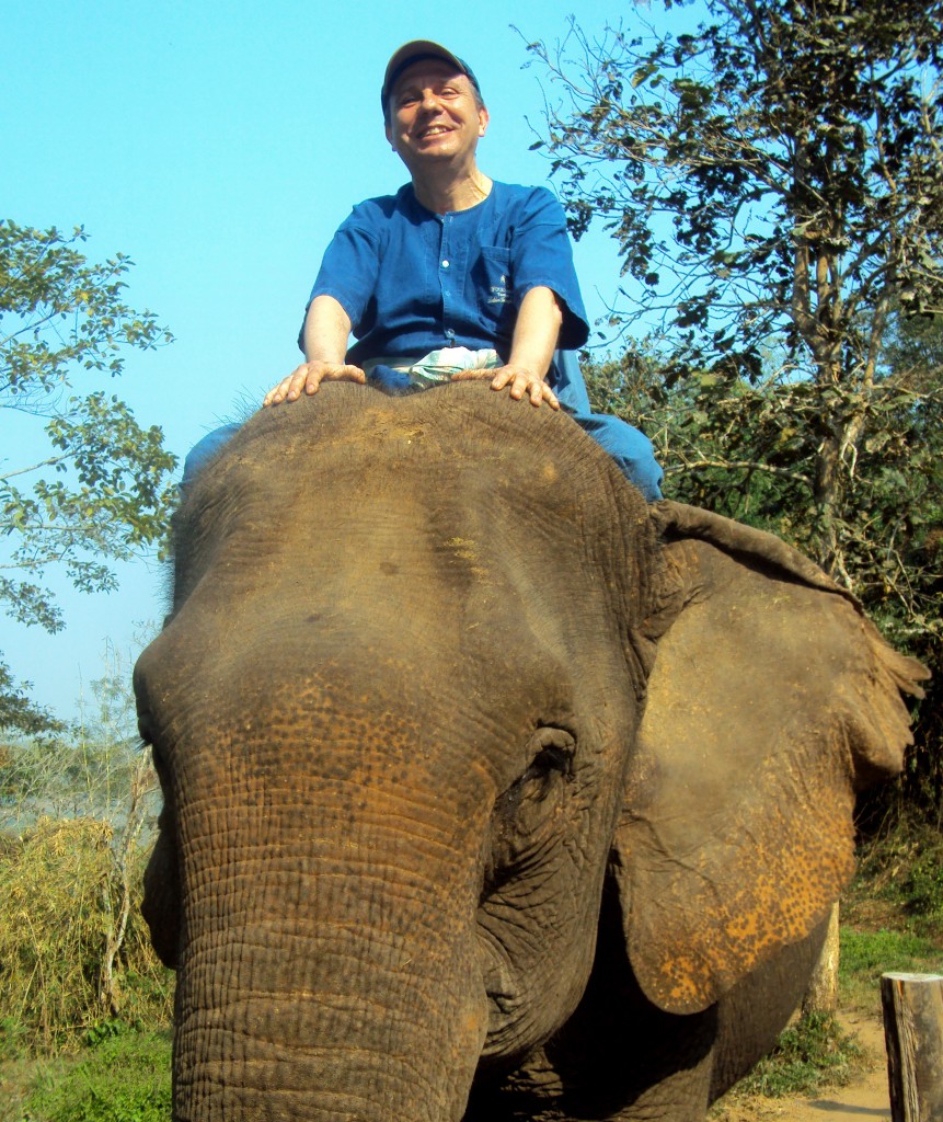 El Blog de Tailandia elefante chiang rai (2)