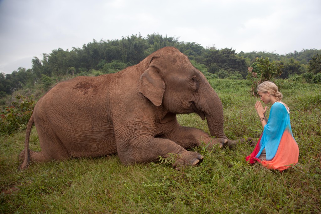El Blog de Tailandia- María con elefante