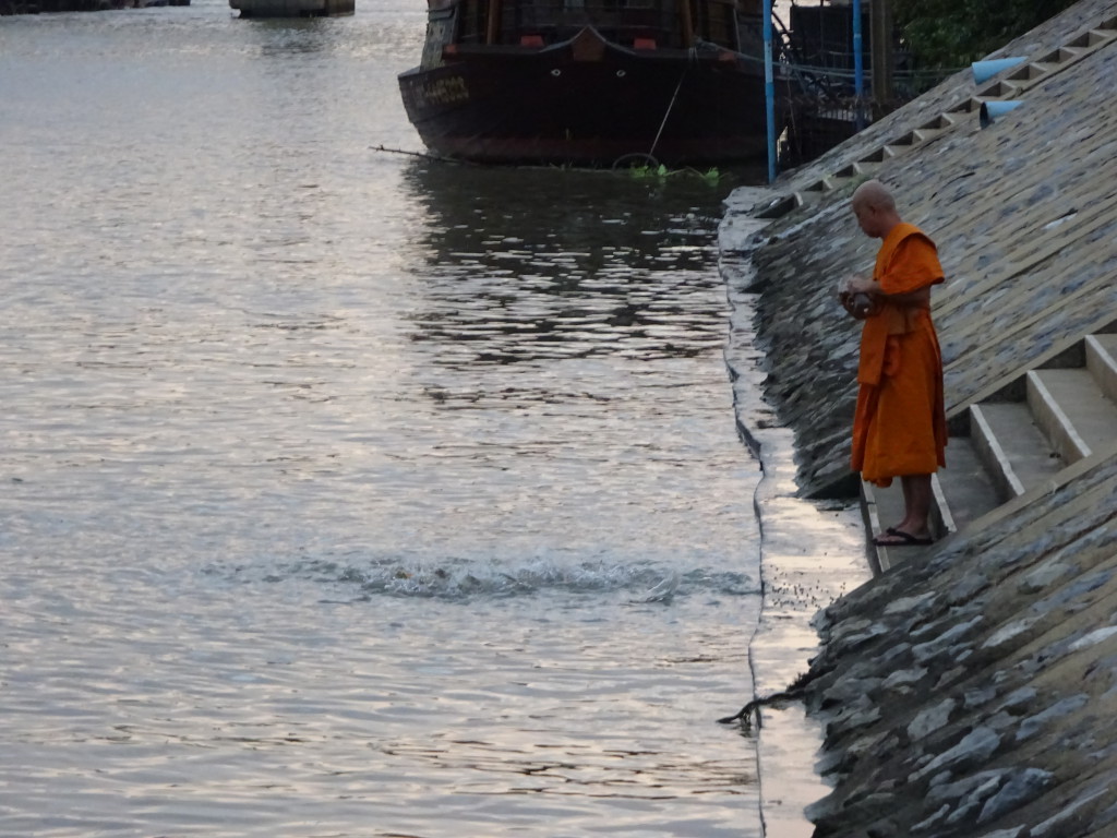 Monje dando de comer a los peces en el Chao Phraya