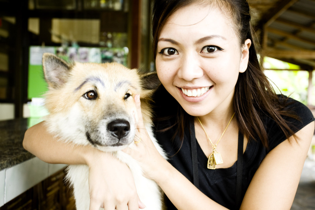 Perro thai con …cejas