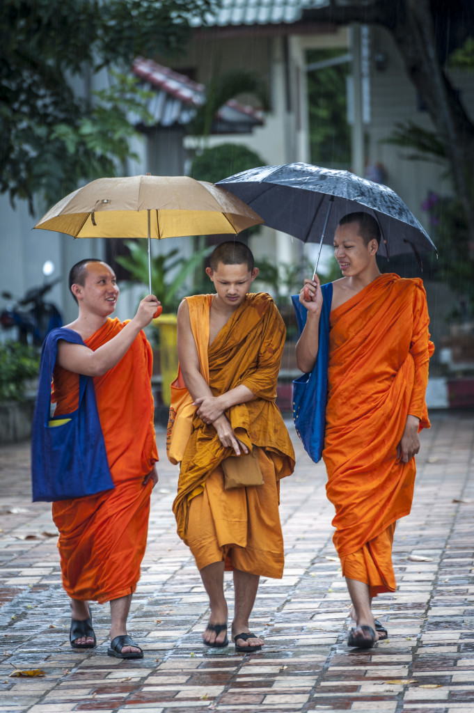 El Blog de Tailandia-Monjes bajo la lluvia