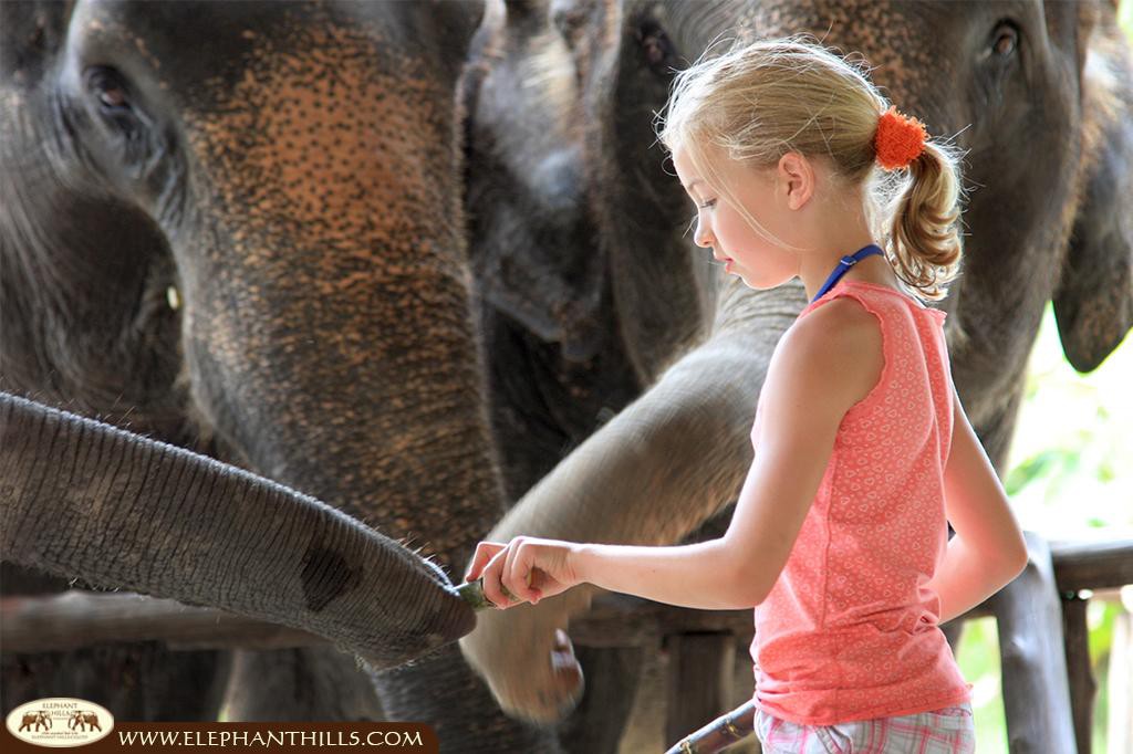 el-blog-de-tailandia-a-unique-elephant-experience-11