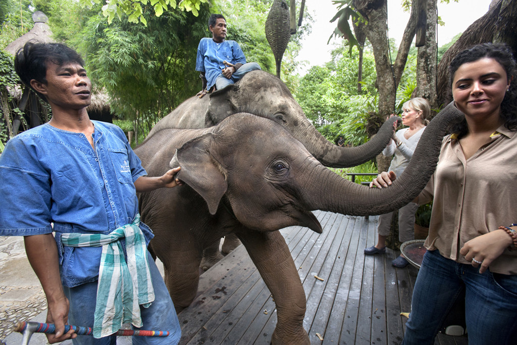 Four Seasons Tented Camp