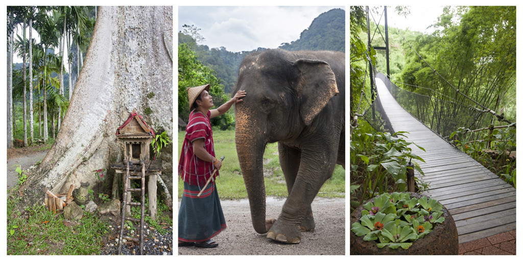 Khao Sok Elephant Hills y Four Seasosn Tented Camp