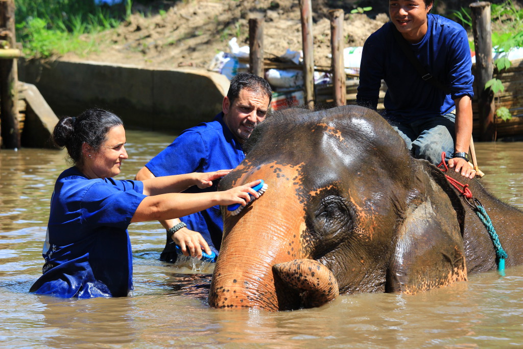 el-blog-de-tailandia-foto-bano