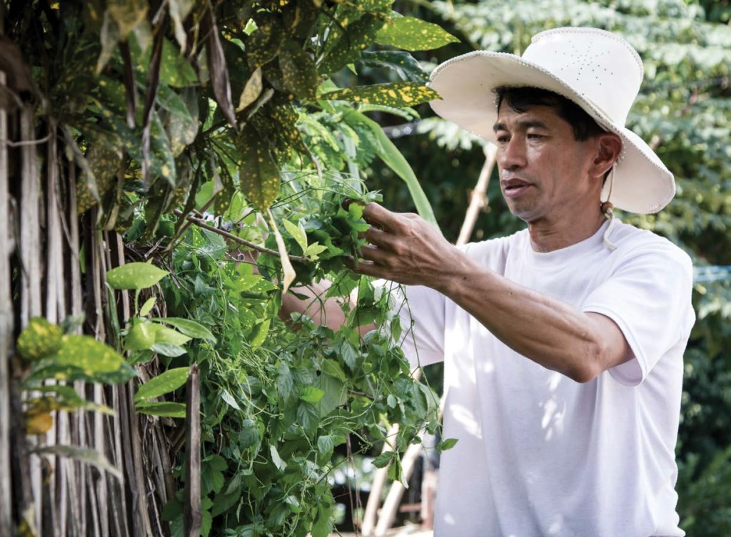 Foto: Turismo de Tailandia