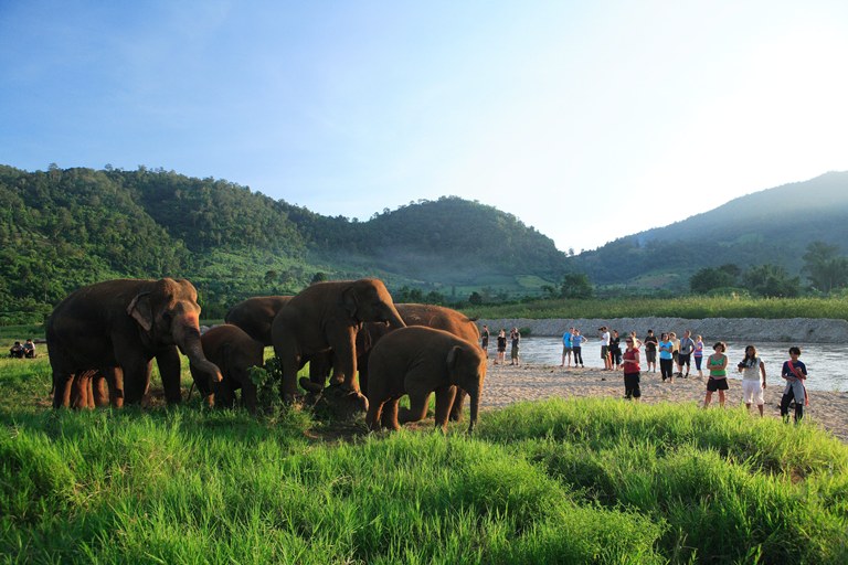 Elephant Nature Park at Chiang Mai