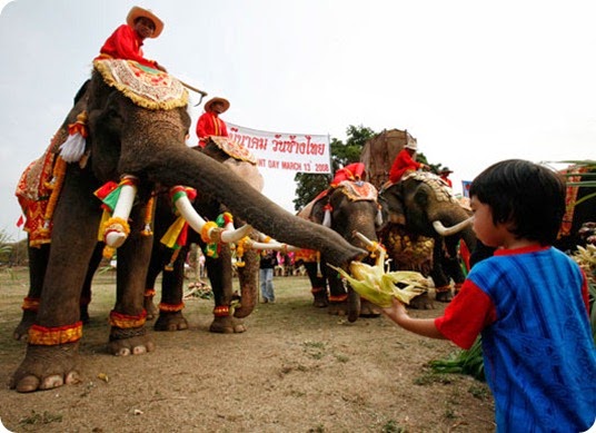 Surin Wax Candle Festival