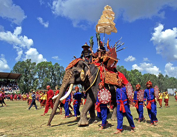 Surin Elephant Round