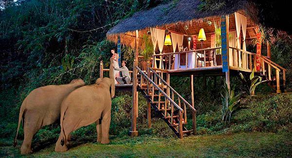 Anantara Golden Triangle Elephant Camp & Resort Chiang Rai