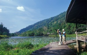 Turismo de Tailandia - Parque Nacional Thale Ban