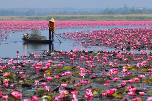 Descubriendo Udon Thani