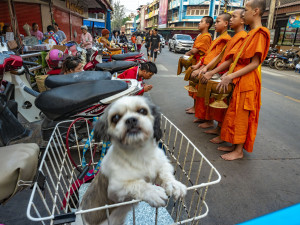 Turismo-de-Tailandia-Gonzalo-Azumendi