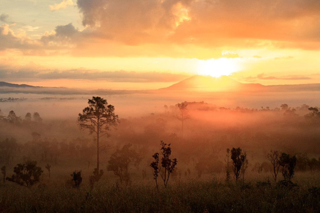 Phetchabun Thung Salaeng Luang National Park